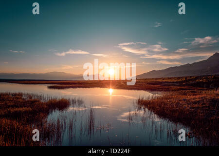 Juni Tag in Yili, Xinjiang Stockfoto