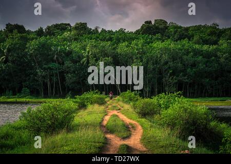 Sasthamcotta, Kollam, Kerala, Indien - Juni 2, 2019: Ideal für Angeln und erholsamer Ort in Kollam Cheloor See Stockfoto