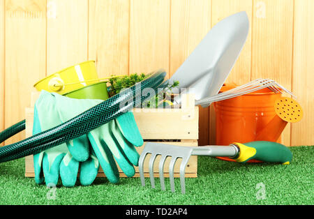Garten-Tools auf dem Rasen im Garten Stockfoto