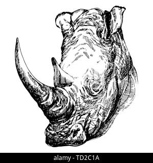 Handskizze stil Portrait von Rhino auf weißem Hintergrund dargestellt. Vector Illustration. Stock Vektor