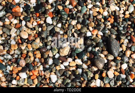 Hintergrund der mehrfarbigen nass Meer Kiesel. Meer. Stockfoto