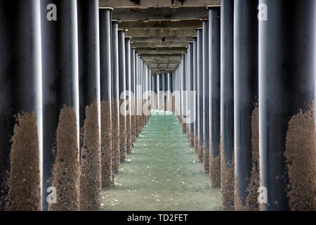 Unter Urangan Pier Perspektive betrachten. Unter einem Pier in Hervey Bay (Queensland, Australien), zeigt die Struktur der Pfähle und Support. Stockfoto