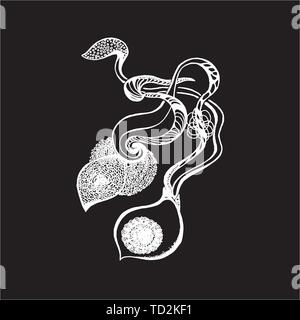 Schwarz Weiß Abbildung: eine Blume und Psychedelische Pflanzen. Stock Vektor