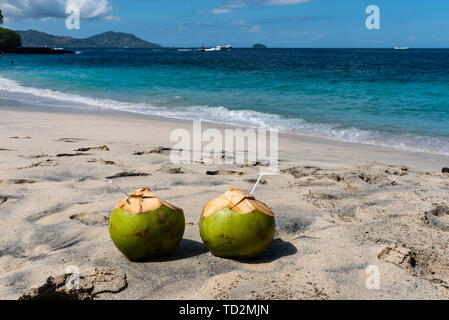 Zwei frische Kokosnuss Cocktails am Strand an einem sonnigen Tag Stockfoto