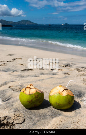 Zwei frische Kokosnuss Cocktails am Strand an einem sonnigen Tag Stockfoto