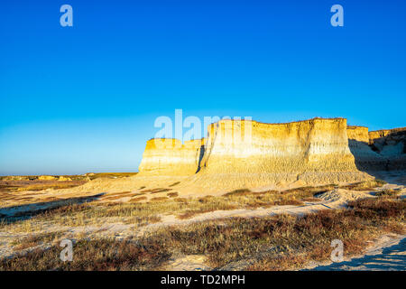 Die Landschaft der Erde Wald Stockfoto