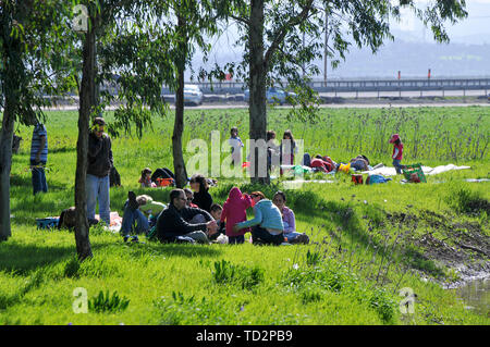 Familie Picknick im Freien an einem frischen grünen Frühlingswiese. In der Nähe von Megido, Galiläa, Israel im Februar fotografiert. Stockfoto