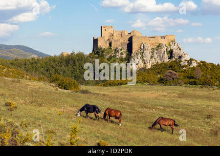 Pferde im Feld vor, in der Nähe der Burg Loarre Loarre, Provinz Huesca, Aragón, Spanien. Die romanische Burg ist unter Spaniens älteste, dating stärkste Bevölkerungszuwachs Stockfoto