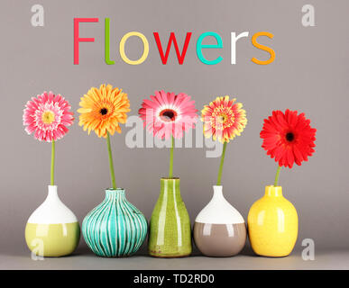 Schöne Gerber Blumen auf grauem Hintergrund Stockfoto