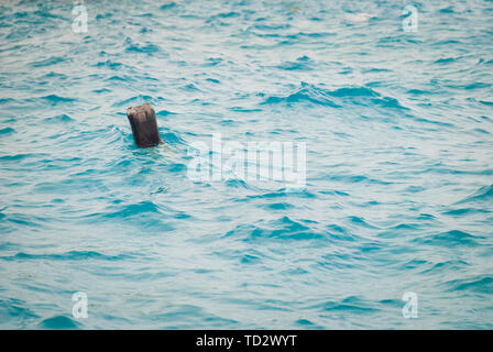 Schwarze Plastikbehältnis schwimmt im Meer. Hausmüll, Konzept der Mangel an Respekt für die Umwelt. Stockfoto