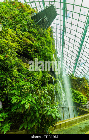 Gardens by the Bay, Cloud Forest Kuppel. Singapur. April 25, 2019 Stockfoto