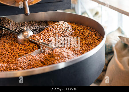 Frisch geröstete Kaffeebohnen aus einem großen Röster in der Kühlung der Zylinder. Motion Blur Auf der Bohnen, selektiven Fokus Stockfoto