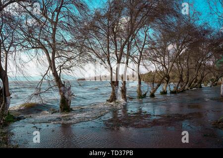 An den Ufern des Dianchi-see Stockfoto