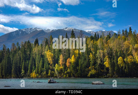 Kanas Herbst Farbe Stockfoto