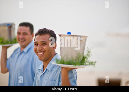 Beach Resort Kellner, die Getränke in Eiswürfelbehälter Stockfoto