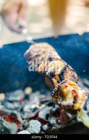 Kebab Hähnchenfleisch auf einem Spieß auf heißen Kohlen. Kochen im Freien Prozess Stockfoto