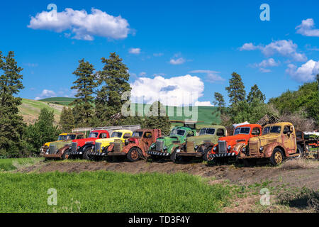 Alte landwirtschaftliche Nutzfahrzeuge an einem Bauernhof in Whitman County, Palouse, Washington, USA. Stockfoto