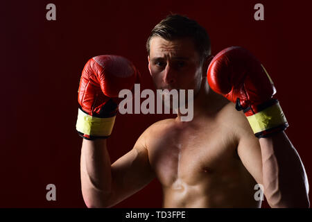 Boxer Ausbildung in Boxhandschuhen. Boxer. Mann Boxer mit muskulösen Körper anbringen. Zuversichtlich boxer Stanzen bei Sport Training. Mann Boxen Stockfoto