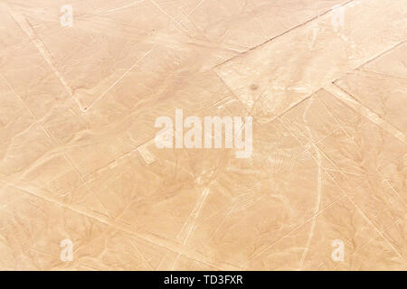 Flug über die Nazca-linien, Nazca, Peru, Südamerika Stockfoto
