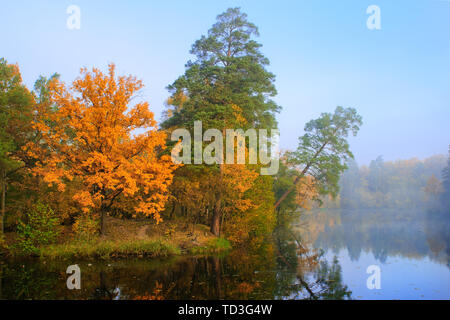 Beautiful forest with trees of fall colors reflecting in the lake Stockfoto