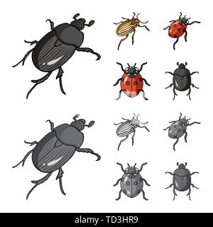 Horn, Marienkäfer, Pest, Bug, Kakerlake, Insekten, Käfer, Tier, Halloween, gezeichnet, Tattoo, Natur, botanische, Antenne, Set, Vector, Icon, Illustration, isoliert, Sammlung, Design, Element, Grafik, Zeichen, Vektor, Vektoren, Stock Vektor