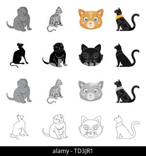 Weiß, sitzend, Sphinx, Tier, Charakter, Rasse, Pet, sphynx, Siam, Spaß, Schwanz, niedlich, Cat, Gesicht, Kätzchen, Lächeln, Set, Vector, Icon, Illustration, isoliert, Sammlung, Design, Element, Grafik, Zeichen, Vektor, Vektoren, Stock Vektor