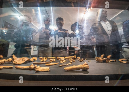 Schüler und Besucher Blick auf die Überreste eines der frühesten menschlichen Vorfahren, Lucy, auf Anzeige im Nationalen Museum für Äthiopien, Addi Stockfoto