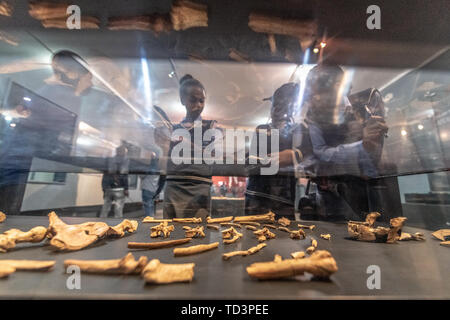 Schüler und Besucher Blick auf die Überreste eines der frühesten menschlichen Vorfahren, Lucy, auf Anzeige im Nationalen Museum für Äthiopien, Addi Stockfoto