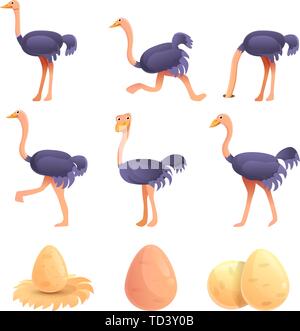Strauß Symbole gesetzt. Cartoon Satz von Strauß Vector Icons für Web Design Stock Vektor