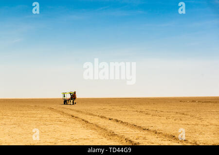 Camel Warenkorb auf der weiten Rann von Kutchh Gujarat Indien Stockfoto