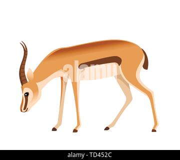 Afrikanischen wilden schwarzen-tailed Gazelle mit langen Hörnern cartoon Animal design Flachbild Vector Illustration auf weißem Hintergrund Seitenansicht Antilope essen. Stock Vektor