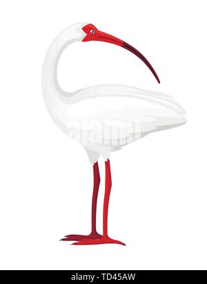 American White ibis Kopf schaut zurück flache Vector Illustration cartoon animal Design weiß Vogel mit rotem Schnabel auf weißem Hintergrund der Seite. Stock Vektor