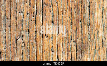 Nahaufnahme eines alten Holzverkleidetem Tür; rostig und verwittert. Holz Textur Hintergrund Stockfoto
