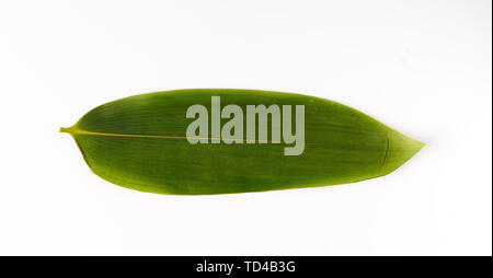 Frische Blätter Zongzi für Dragon Boat Festival Zongzi Stockfoto