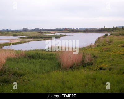 Norden Höhle Feuchtgebiete, East Riding von Yorkshire, Juni 2019 Stockfoto