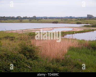 Norden Höhle Feuchtgebiete, East Riding von Yorkshire, Juni 2019 Stockfoto