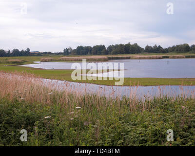 Norden Höhle Feuchtgebiete, East Riding von Yorkshire, Juni 2019 Stockfoto