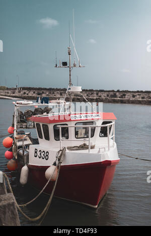 Nordirland, Großbritannien - 8 April 2019: Eine helle rote Fischerboot namens Bold Venture ist in einem Hafen in Irland Günstig Stockfoto