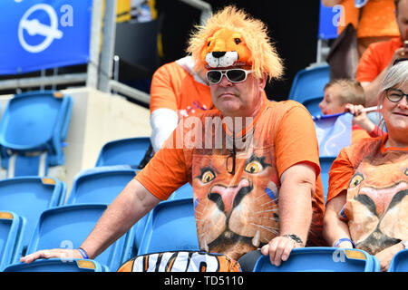 Le Havre, Frankreich. 11 Juni, 2019. Niederländische Lüfter mit Lowenmutze, 11.06.2019, Le Havre (Frankreich), Fußball, FIFA Frauen-WM 2019, Neuseeland, Niederlande, FIFA-Bestimmungen verbieten die Verwendung von Fotografien als BILDSEQUENZEN UND/ODER QUASI-VIDEO. | Verwendung der weltweiten Kredit: dpa/Alamy leben Nachrichten Stockfoto