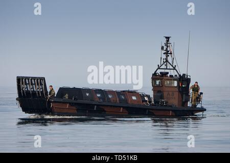 11.06.2019, seit Montag, dem 10. Juni die britische Royal Navy amphibische Kriegsführung verwaltet mit dem Landing Craft der HMS Albion in der nördlichen Eckernforder Bucht in der Nähe des Campingplatz Gut Ludwigsburg in der Nähe von langholz als Teil der Manovers BALTOPS 2019. LCVP Mk5 L0353. | Verwendung weltweit Stockfoto