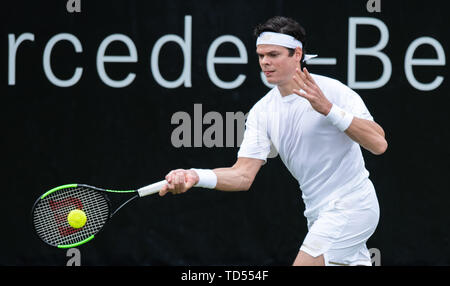 Stuttgart, Deutschland. 12 Juni, 2019. Tennis: ATP-Tour: Stuttgart, Einzelne, Männer, Runde 16: Tsonga (Frankreich) - raonic (Kanada). Milos Raonic in Aktion. Credit: Silas Stein/dpa/Alamy leben Nachrichten Stockfoto