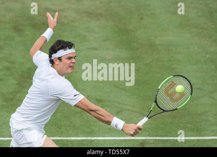 Stuttgart, Deutschland. 12 Juni, 2019. Tennis: ATP-Tour: Stuttgart, Einzelne, Männer, Runde 16: Tsonga (Frankreich) - raonic (Kanada). Milos Raonic in Aktion. Credit: Silas Stein/dpa/Alamy leben Nachrichten Stockfoto