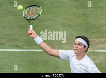 Stuttgart, Deutschland. 12 Juni, 2019. Tennis: ATP-Tour: Stuttgart, Einzelne, Männer, Runde 16: Tsonga (Frankreich) - raonic (Kanada). Milos Raonic in Aktion. Credit: Silas Stein/dpa/Alamy leben Nachrichten Stockfoto