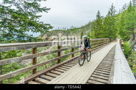 Frau Radfahren auf einem der vielen Gerüste der Kettle Valley Railway (KVR) eine verlassene Eisenbahn zu einem Wander-/Radweg umgewandelt. Stockfoto