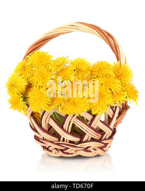 Löwenzahn Blumen im Weidenkorb auf Weiß isoliert Stockfoto