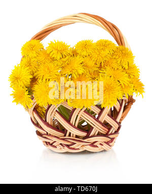 Löwenzahn Blumen im Weidenkorb auf Weiß isoliert Stockfoto