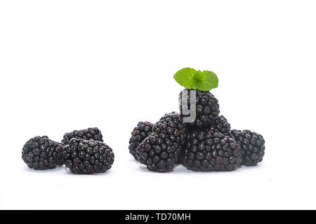 Frische Brombeeren auf weißem Hintergrund Stockfoto