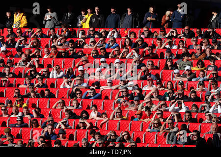 Valenciennes, Frankreich. 12 Juni, 2019. Fans der Gruppe B Match zwischen Deutschland und Spanien an der 2019 FIFA Frauenfussball Weltmeisterschaft in Valenciennes, Frankreich, 12. Juni 2019. Deutschland gewann 1:0. Credit: Zheng Huansong/Xinhua/Alamy leben Nachrichten Stockfoto