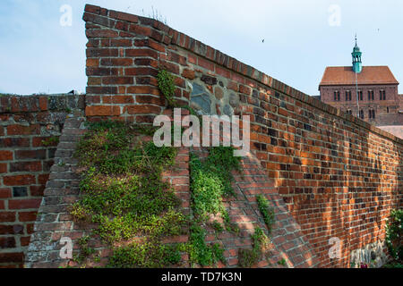 Hansestadt Havelberg, Deutschland. 06 Juni, 2019. Die Kathedrale Sankt Marien zu Havelberg. Uhus haben in einer Nische im Westen Gebäude der Kirche nieder. Eine der drei Küken heraus fiel am 19. Mai 2019 und wurde der Stendal Zoo gebracht. Der Vogel sollte dort bleiben, bis sie flugfähig ist, und in die Freiheit entlassen werden. (Dpa "Eagle Owl Baby aus dem Nest gefallen muss zu Jagen lernen") Credit: Klaus-Dietmar Gabbert/dpa-Zentralbild/dpa/Alamy leben Nachrichten Stockfoto