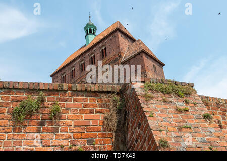 Hansestadt Havelberg, Deutschland. 06 Juni, 2019. Die Kathedrale Sankt Marien zu Havelberg. Uhus haben in einer Nische im Westen Gebäude der Kirche nieder. Eine der drei Küken heraus fiel am 19. Mai 2019 und wurde der Stendal Zoo gebracht. Der Vogel sollte dort bleiben, bis sie flugfähig ist, und in die Freiheit entlassen werden. (Dpa "Eagle Owl Baby aus dem Nest gefallen muss zu Jagen lernen") Credit: Klaus-Dietmar Gabbert/dpa-Zentralbild/dpa/Alamy leben Nachrichten Stockfoto